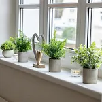 Apartment Luxus Sauna Balkon Küche Zentral *